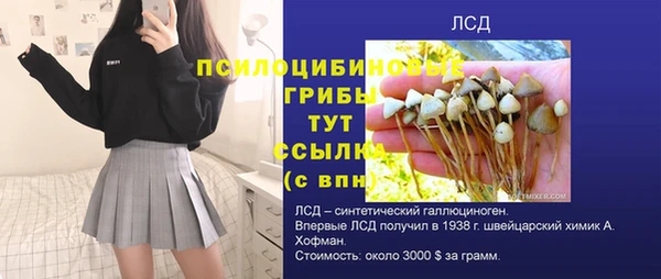 метадон Чекалин