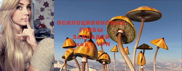 метадон Чекалин