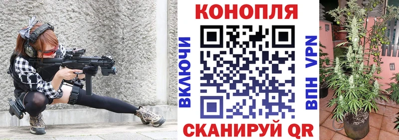 Марихуана THC 21%  Купить закладки  Ершов 